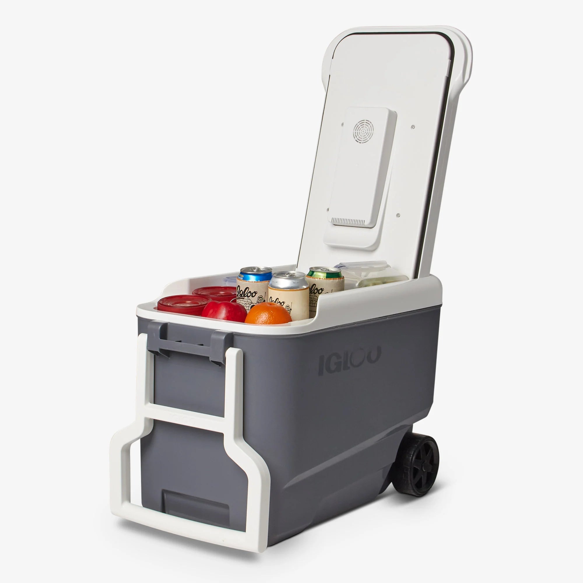 Igloo Durable Versatemp 35 Qt Wheeled Electric Cooler - Image 6