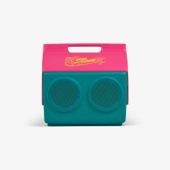 Igloo Durable KoolTunes